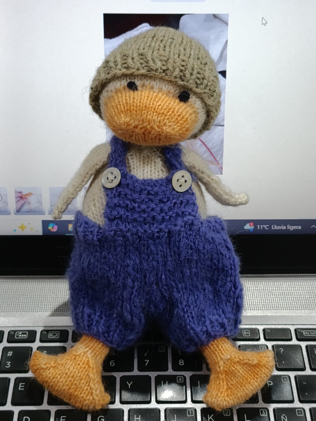 Pato Ramiro